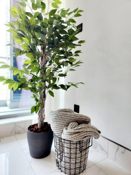 Alaia Retreat شقة